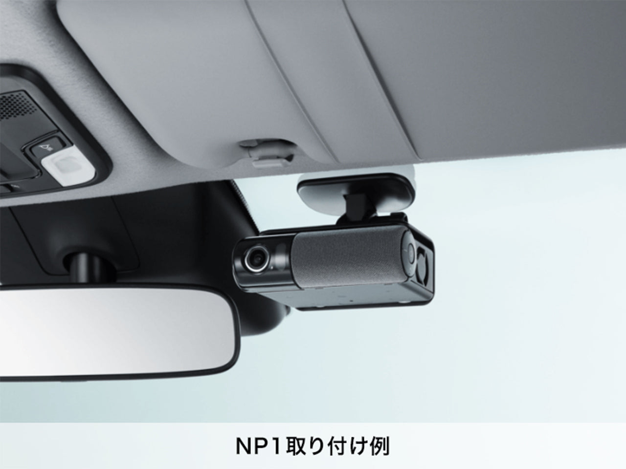 NP1
